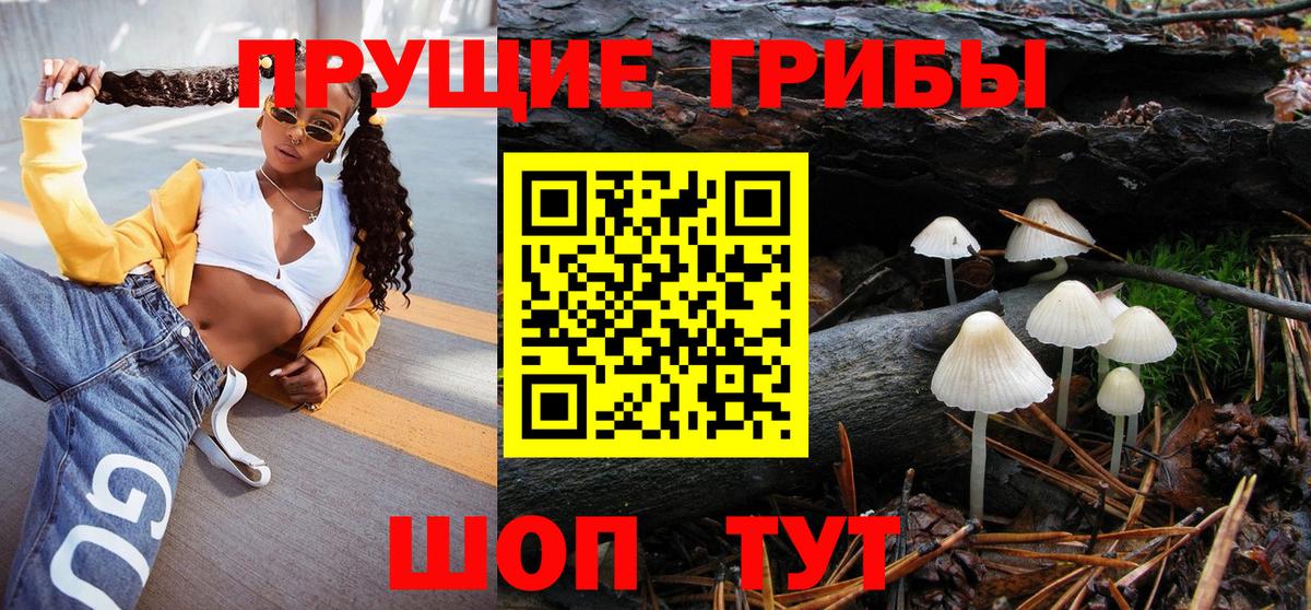 Заводоуковск  Псилоцибиновые грибы Psilocybine cubensis  Вход с VPN 